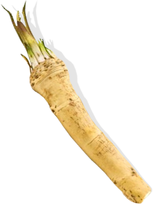 grated horseradish